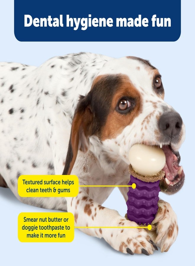 بيت سيف لعبة PetSafe Busy Buddy Nobbly Nubbly لحمل المكافآت - تُخفف الملل للكلاب التي تمضغ بقوة - مصنوعة من النايلون المتين - تصميم آمن للغسل في غسالة الصحون - تتضمن حلقات للمكافآت - لعبة ألغاز مسلية للحيوانات الأليفة - بنفسجي - متوسط الحجم - Image 4